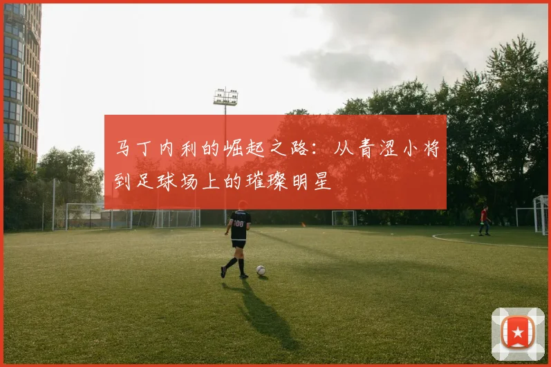 马丁内利的崛起之路：从青涩小将到足球场上的璀璨明星