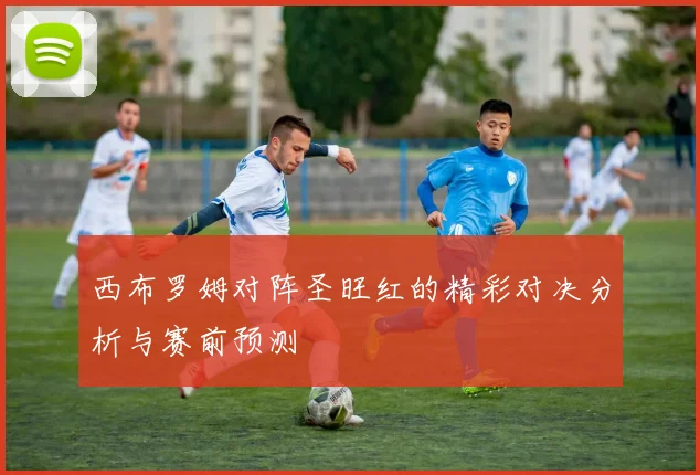 西布罗姆对阵圣旺红的精彩对决分析与赛前预测