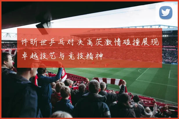 许昕世乒乓对决高茨激情碰撞展现卓越技艺与竞技精神